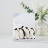 Emperor Penguins Briefkaart (Staand voorkant)