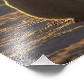 Emperor Penguins Foto Afdruk (Hoek)