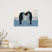 Emperor Penguins Kissus Poster (Keuken)