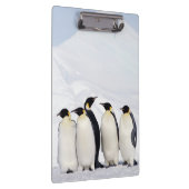 Emperor Penguins Klembord (Rechts)