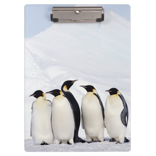 Emperor Penguins Klembord (Voorkant)