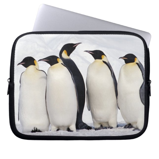 Emperor Penguins Laptop Sleeve (Voorkant)