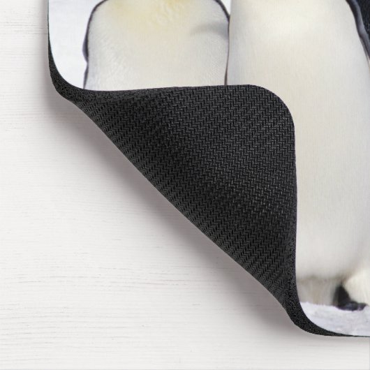 Emperor Penguins Muismat (Hoek)