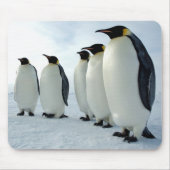 Emperor Penguins Muismat (Voorkant)