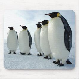 Emperor Penguins Muismat