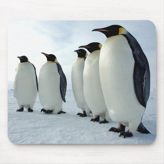 Emperor Penguins Muismat (Voorkant)