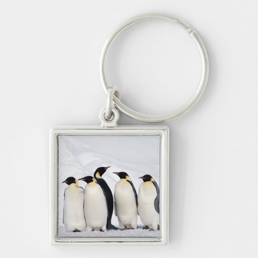 Emperor Penguins Sleutelhanger (Voorkant)