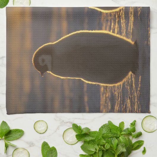 Emperor Penguins Theedoek (Gevouwen)