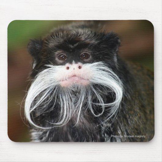 Emperor Tamarin Muismat (Voorkant)