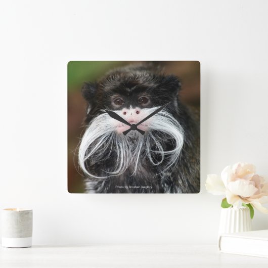 Emperor Tamarin Vierkante Klok (Huis)
