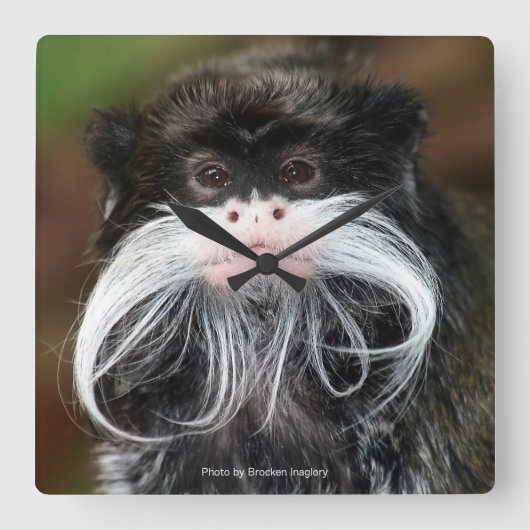 Emperor Tamarin Vierkante Klok (Voorkant)