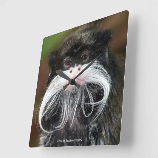 Emperor Tamarin Vierkante Klok (Hoek)