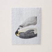 Emperorpinguïne (Aptenodytes forsteri), kuiken Legpuzzel (Verticaal)
