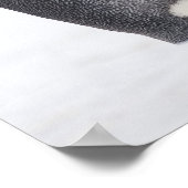 Emperorpinguïne (Aptenodytes forsteri), kuiken Poster (Hoek)