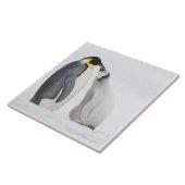 Emperorpinguïne (Aptenodytes forsteri), kuiken Tegeltje (Zijkant)