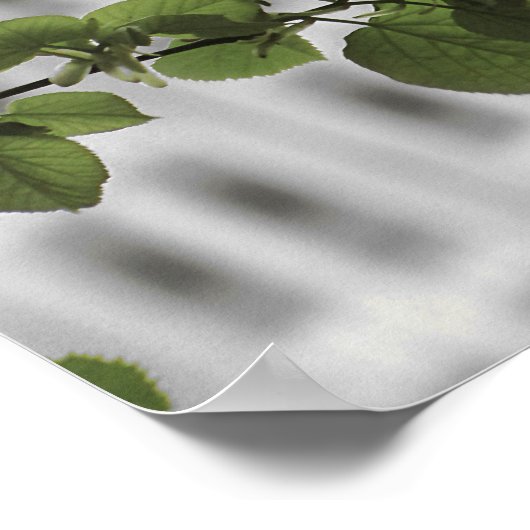 Empire staat in New York Poster (Hoek)