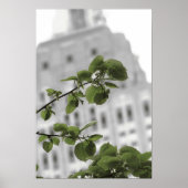 Empire staat in New York Poster (Voorkant)