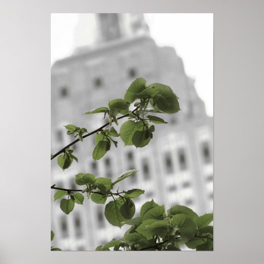 Empire staat in New York Poster (Voorkant)