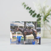 Empire Stakes Winner "Saratoga Snacks" Briefkaart (Staand voorkant)