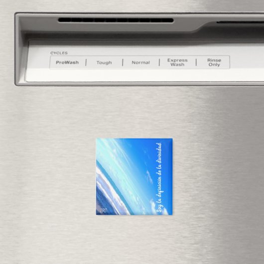 empoderamiento magneet (Insitu (Vaatwasser))