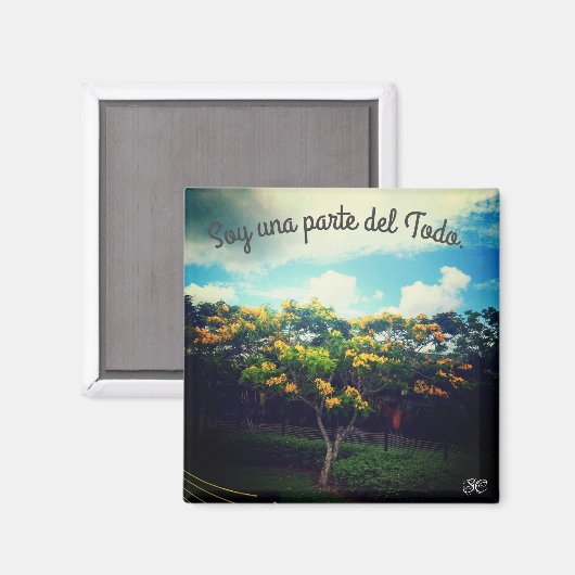 empoderamiento magneet (Voorkant / Achterkant)