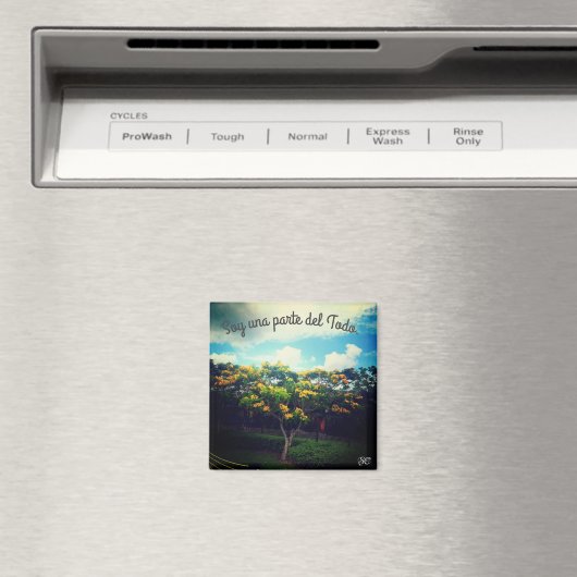 empoderamiento magneet (Insitu (Vaatwasser))