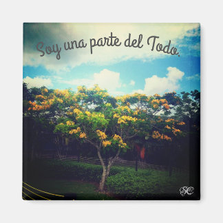 empoderamiento magneet