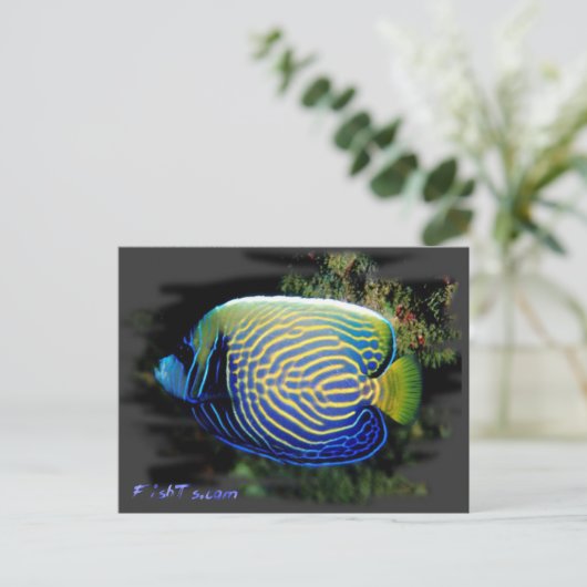 Emporer Angelfish Briefkaart (Staand voorkant)