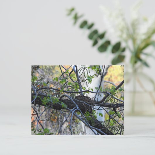 Empty Nest Postcard Briefkaart (Staand voorkant)