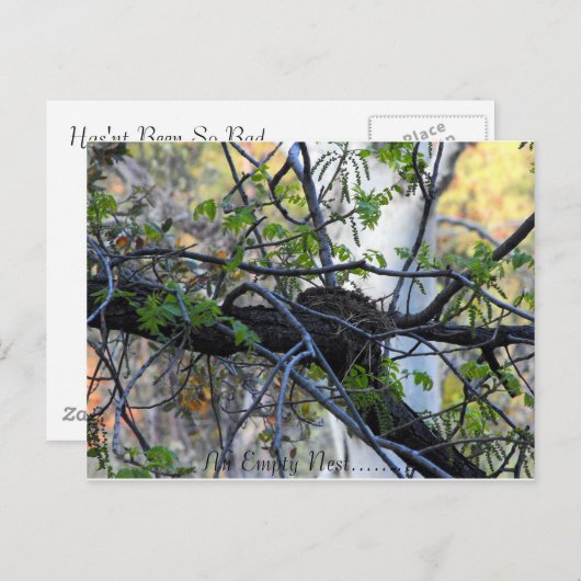 Empty Nest Postcard Briefkaart (Voorkant / Achterkant)