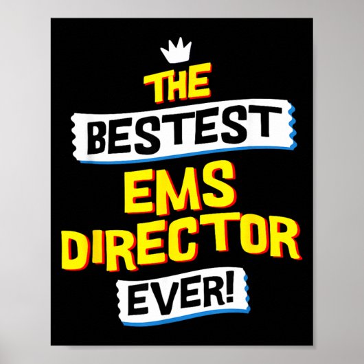 Ems Directeur Functie Beroep Grappige Sarcastische Poster (Voorkant)