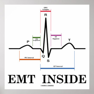 EMT binnen (het Elektrocardiogram van het Ritme Poster