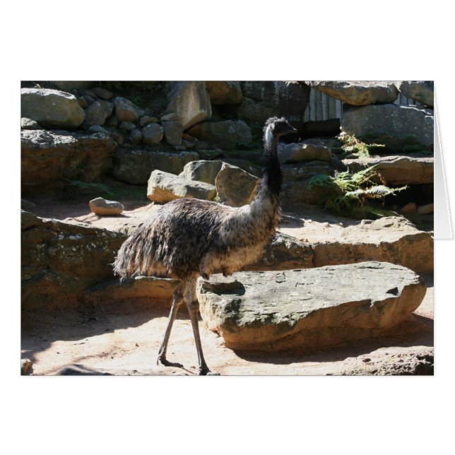emu (Voorkant Horizontaal)