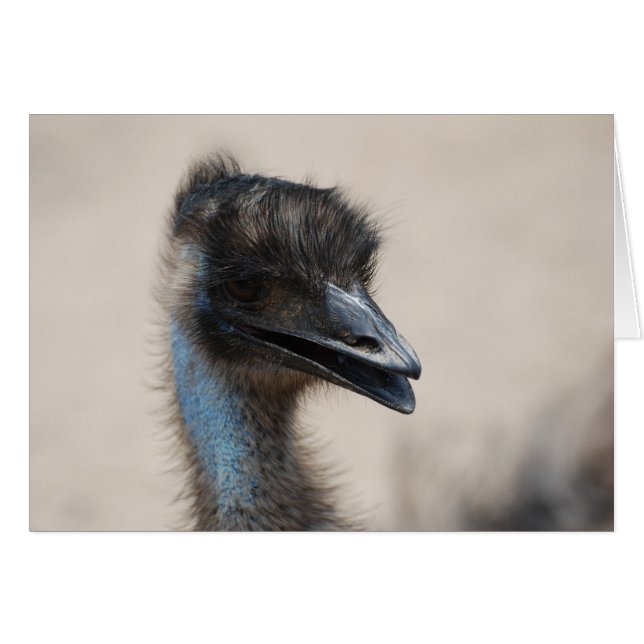 Emu (Voorkant Horizontaal)