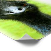 EMU BIRD FOTO PORTRAAL POSTER (Hoek)