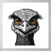 Emu bird head poster (Voorkant)