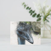 Emu Bird Lookin naar jou Briefkaart (Staand voorkant)