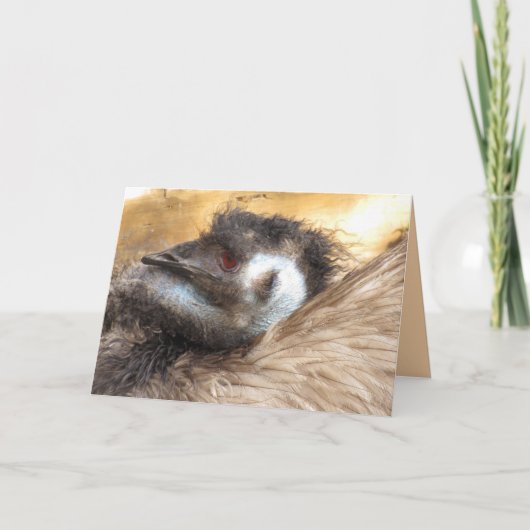 Emu Bird Wenskaart Kaart (Voorkant)