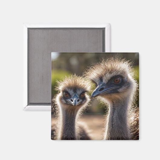 Emu Birds Magneet (Voorkant / Achterkant)
