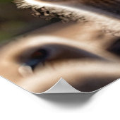 Emu Birds Poster (Hoek)