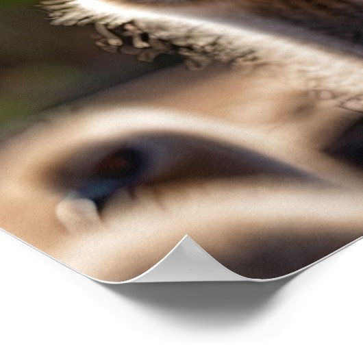 Emu Birds Poster (Hoek)