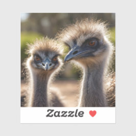 Emu Birds Sticker