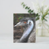 Emu Briefkaart (Staand voorkant)