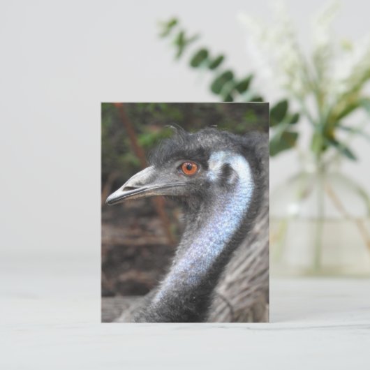 Emu Briefkaart (Staand voorkant)