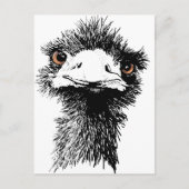 Emu Briefkaart (Voorkant)