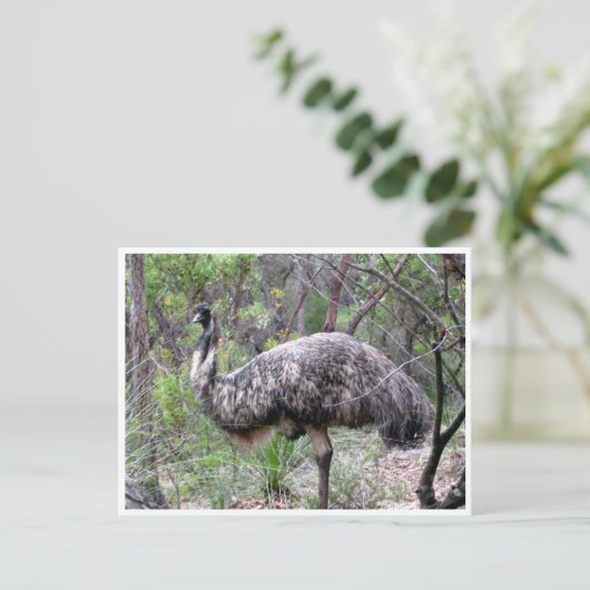 emu briefkaart (Staand voorkant)