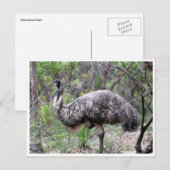 emu briefkaart (Voorkant / Achterkant)