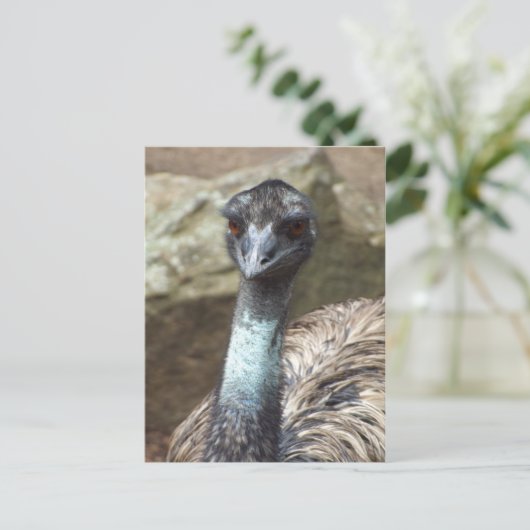 Emu Briefkaart (Staand voorkant)