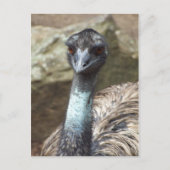 Emu Briefkaart (Voorkant)