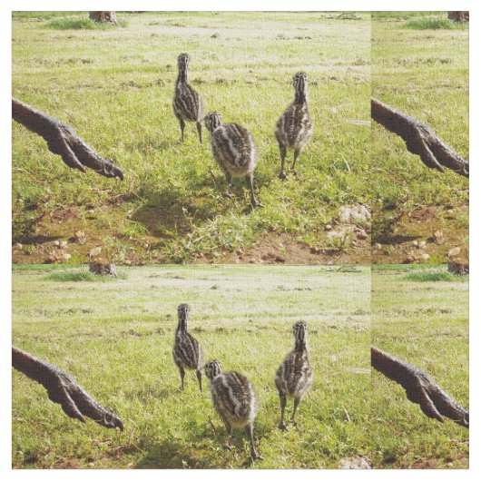 EMU Chicks met EMU Big Foot, Stof (Close Up)